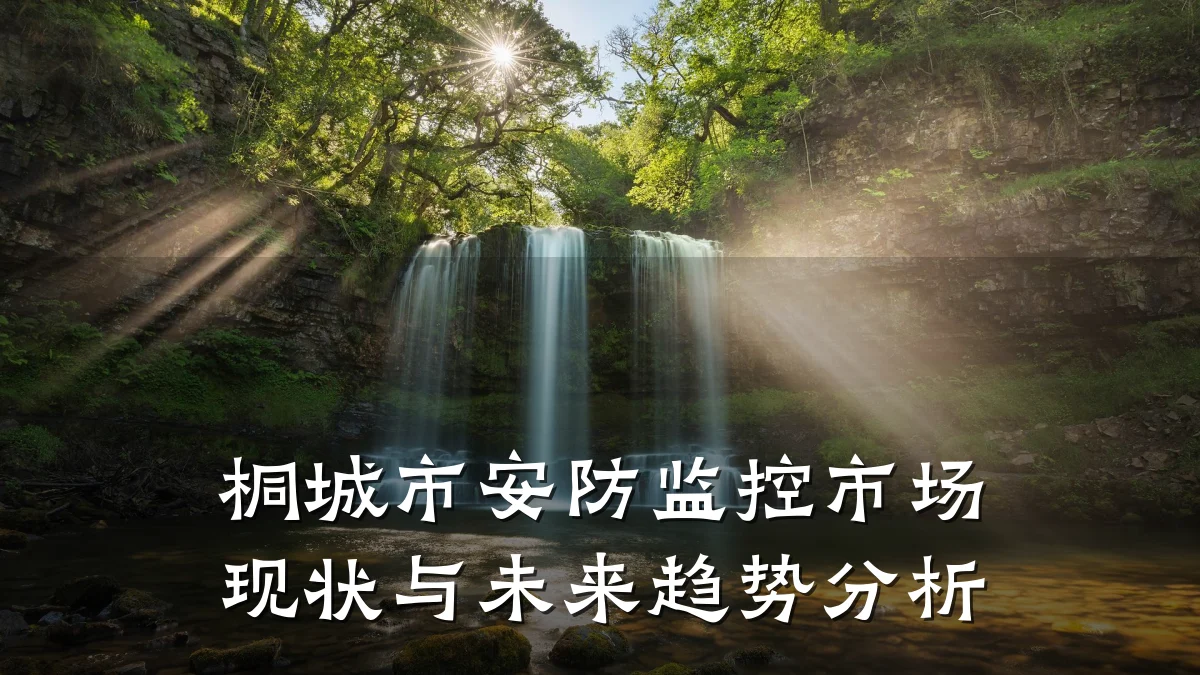 桐城市安防监控市场现状与未来趋势分析