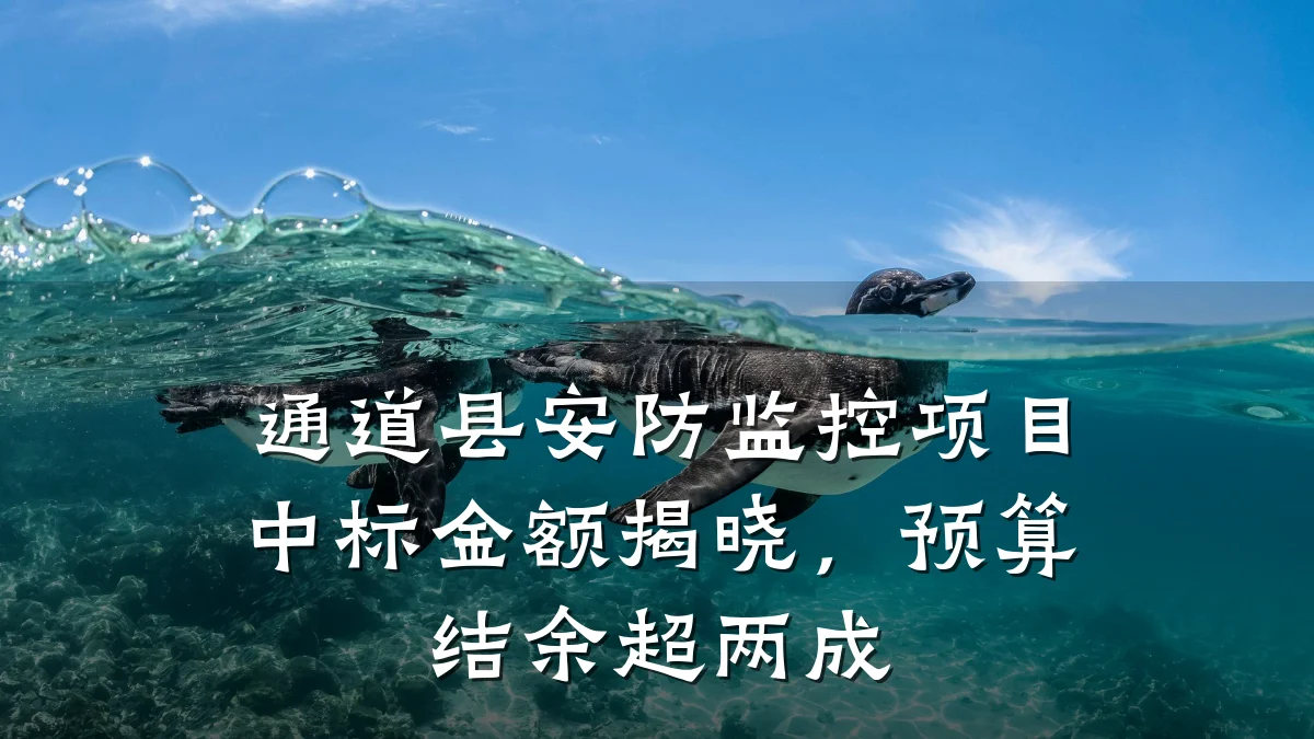 通道县安防监控项目中标金额揭晓,预算结余超两成