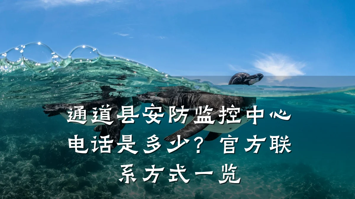 通道县安防监控中心电话是多少?官方联系方式一览