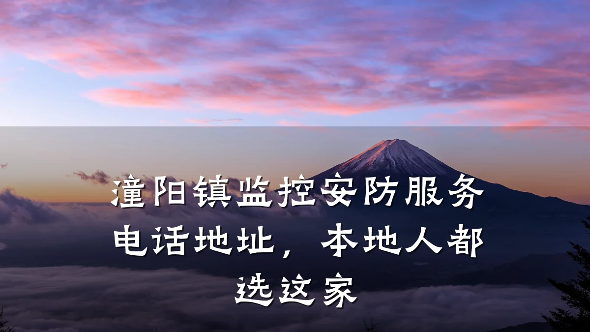 潼阳镇监控安防服务电话地址,本地人都选这家