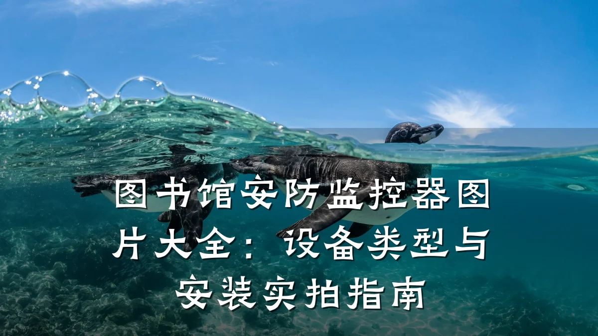图书馆安防监控器图片大全:设备类型与安装实拍指南