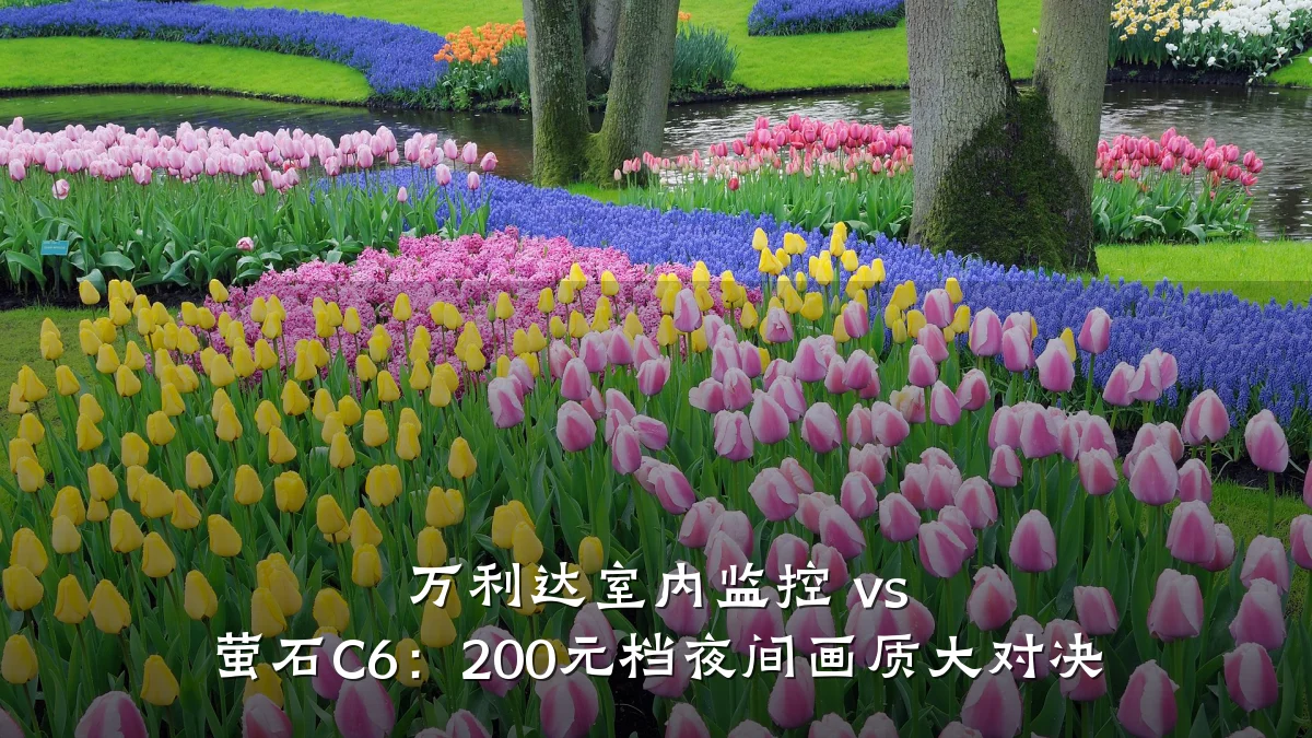 万利达室内监控 vs 萤石C6：200元档夜间画质大对决