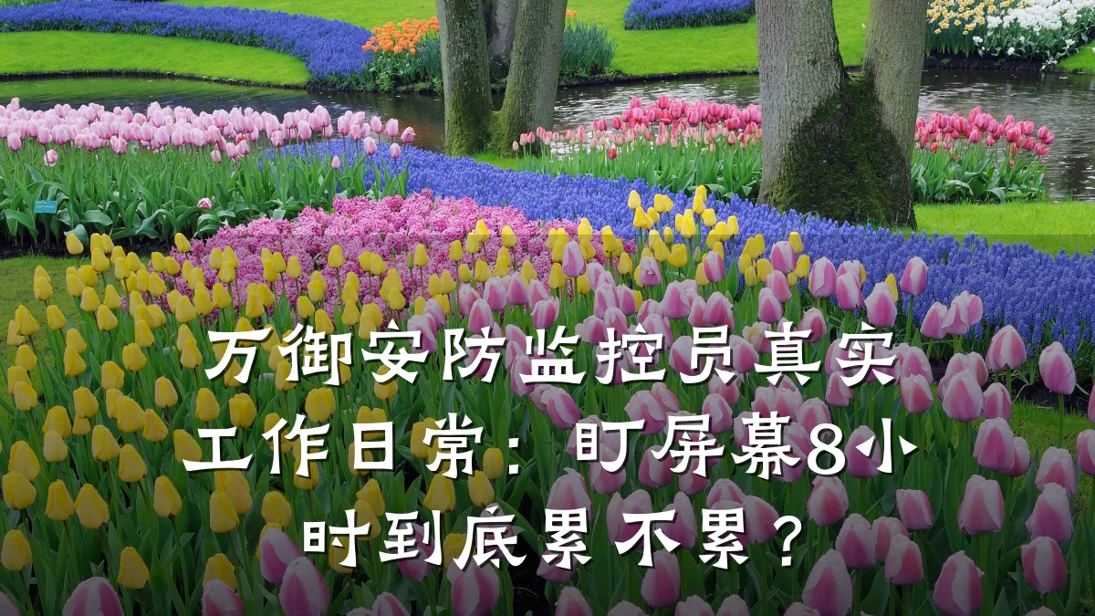 万御安防监控员真实工作日常:盯屏幕8小时到底累不累?