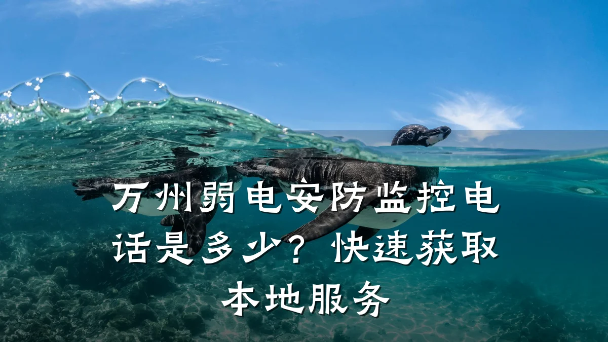 万州弱电安防监控电话是多少?快速获取本地服务
