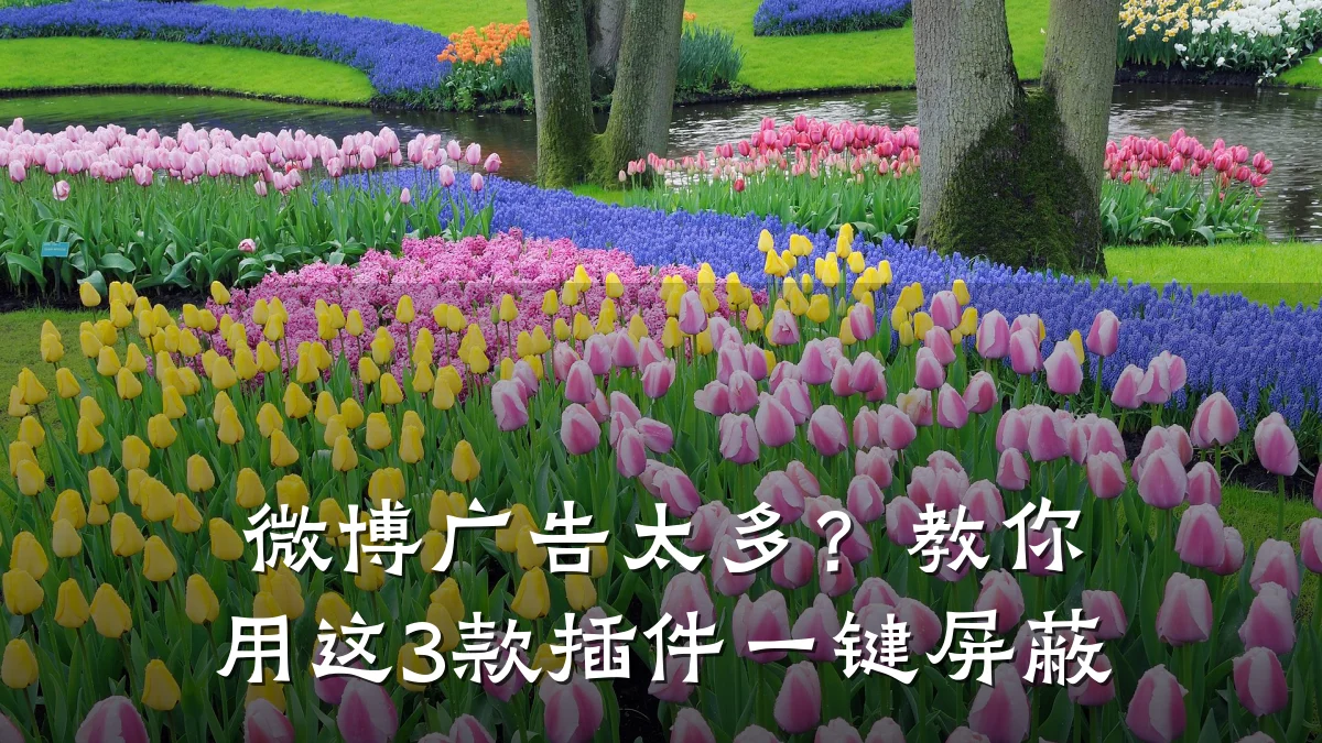 微博广告太多?教你用这3款插件一键屏蔽