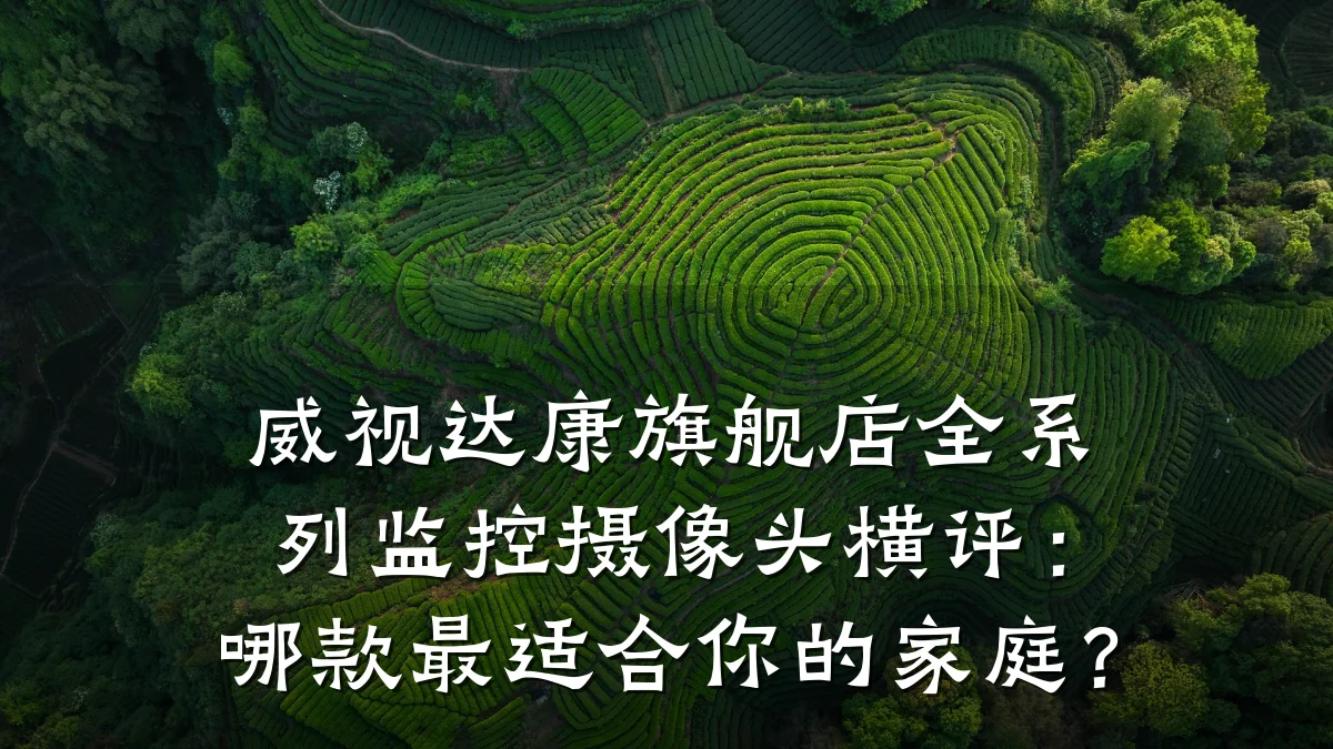 威视达康旗舰店全系列监控摄像头横评:哪款最适合你的家庭?