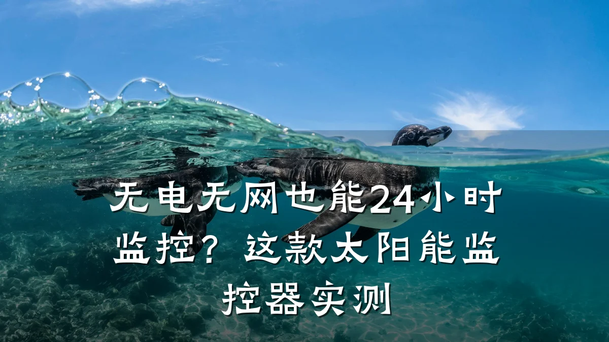 无电无网也能24小时监控？这款太阳能监控器实测