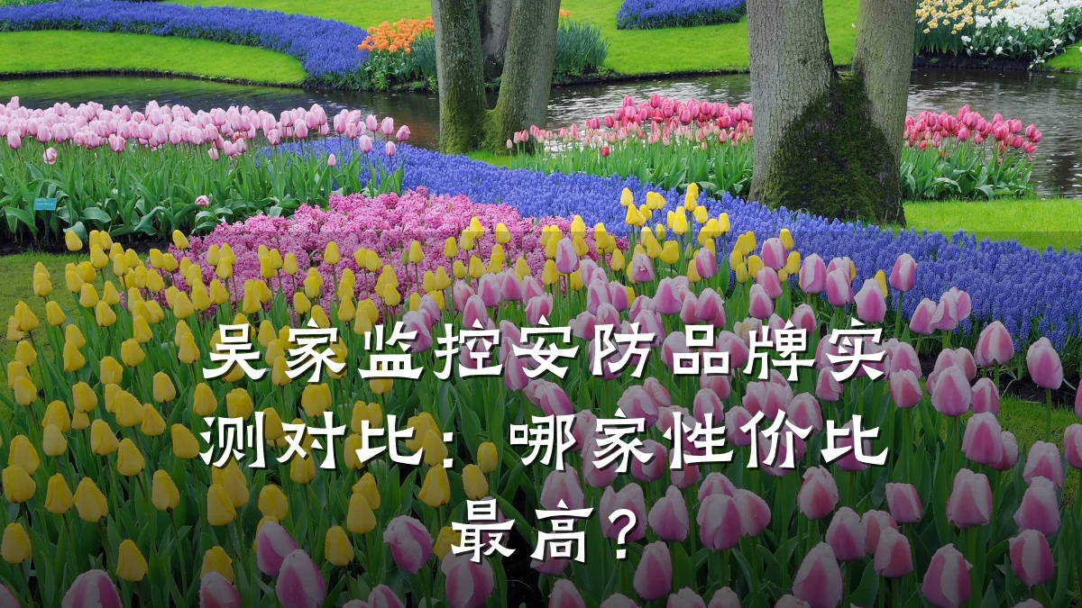 吴家监控安防品牌实测对比:哪家性价比最高?