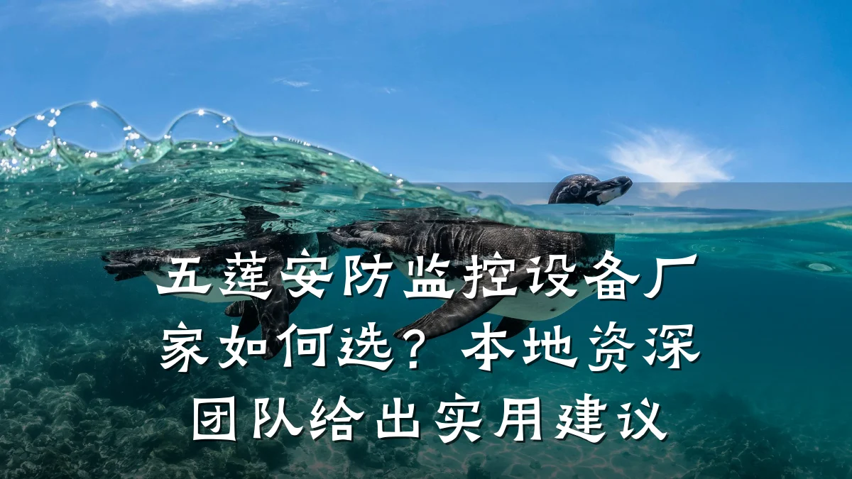 五莲安防监控设备厂家如何选?本地资深团队给出实用建议
