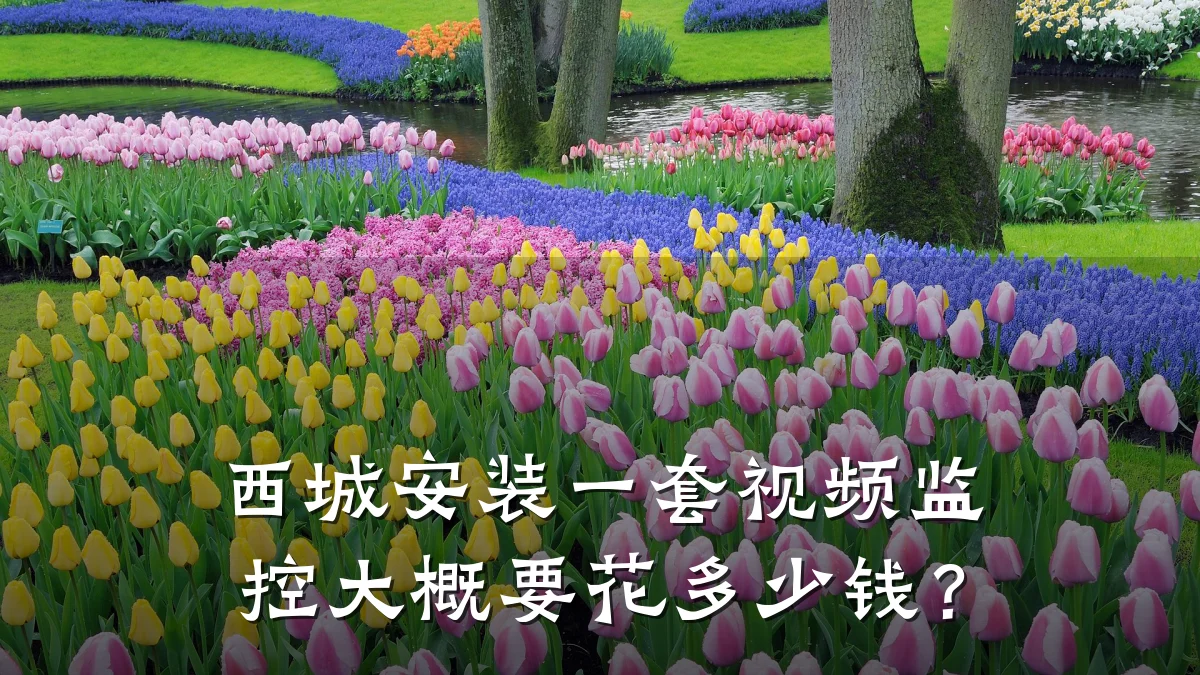 西城安装一套视频监控大概要花多少钱?