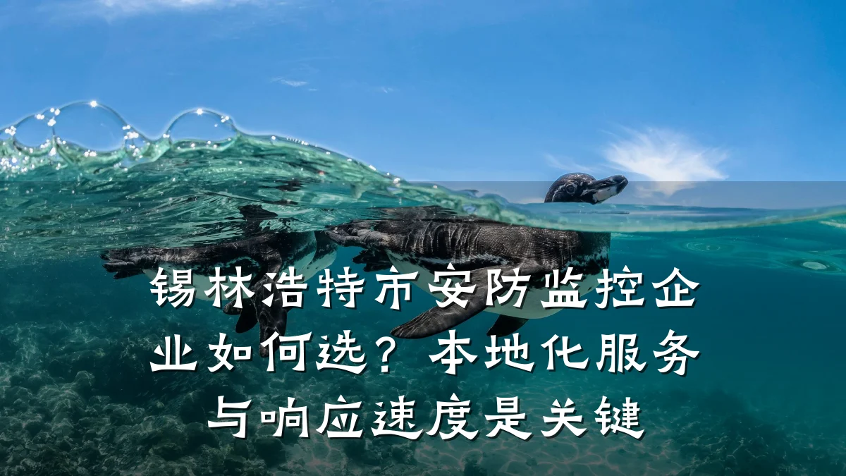 锡林浩特市安防监控企业如何选?本地化服务与响应速度是关键