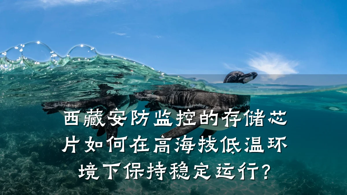 西藏安防监控的存储芯片如何在高海拔低温环境下保持稳定运行?
