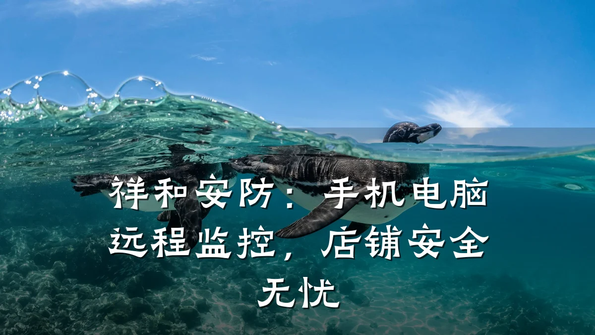 祥和安防:手机电脑远程监控,店铺安全无忧