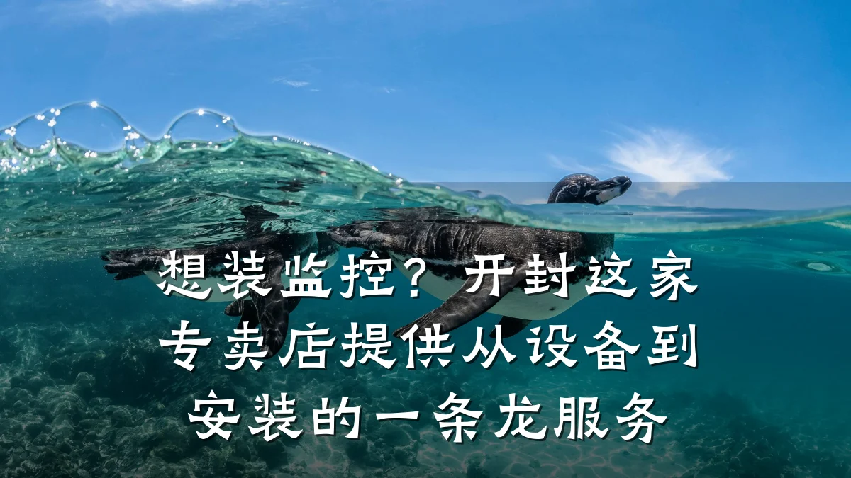 想装监控?开封这家专卖店提供从设备到安装的一条龙服务