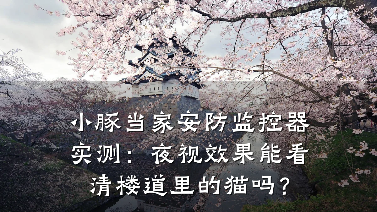 小豚当家安防监控器实测：夜视效果能看清楼道里的猫吗？