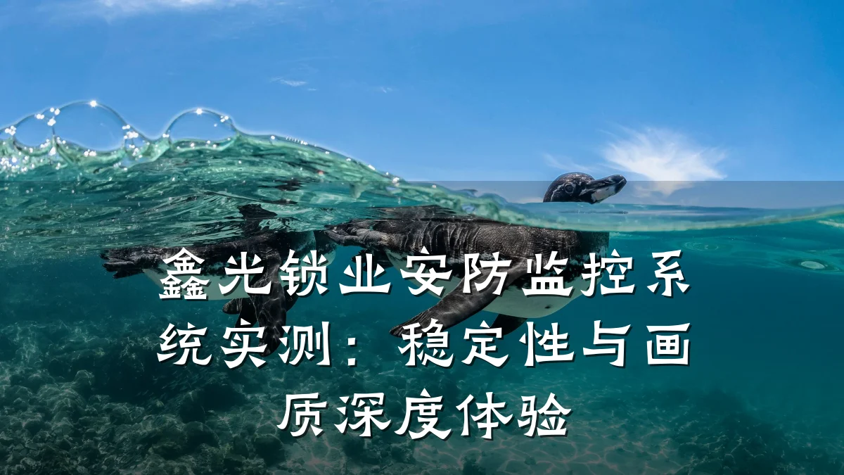 鑫光锁业安防监控系统实测:稳定性与画质深度体验