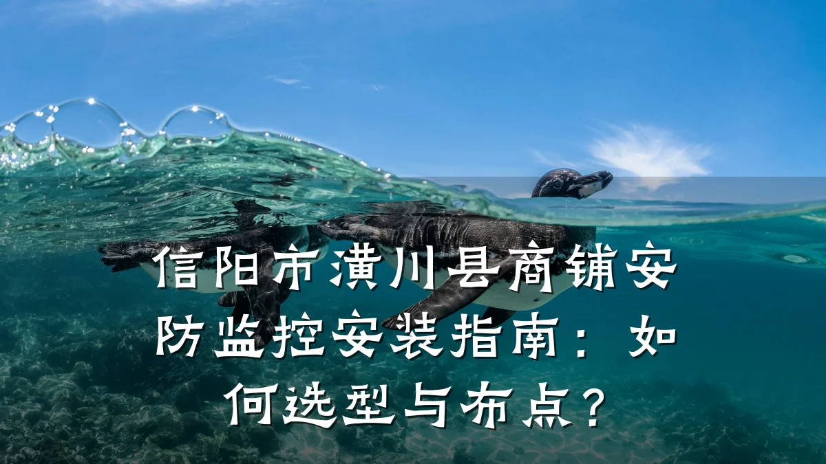 信阳市潢川县商铺安防监控安装指南:如何选型与布点?
