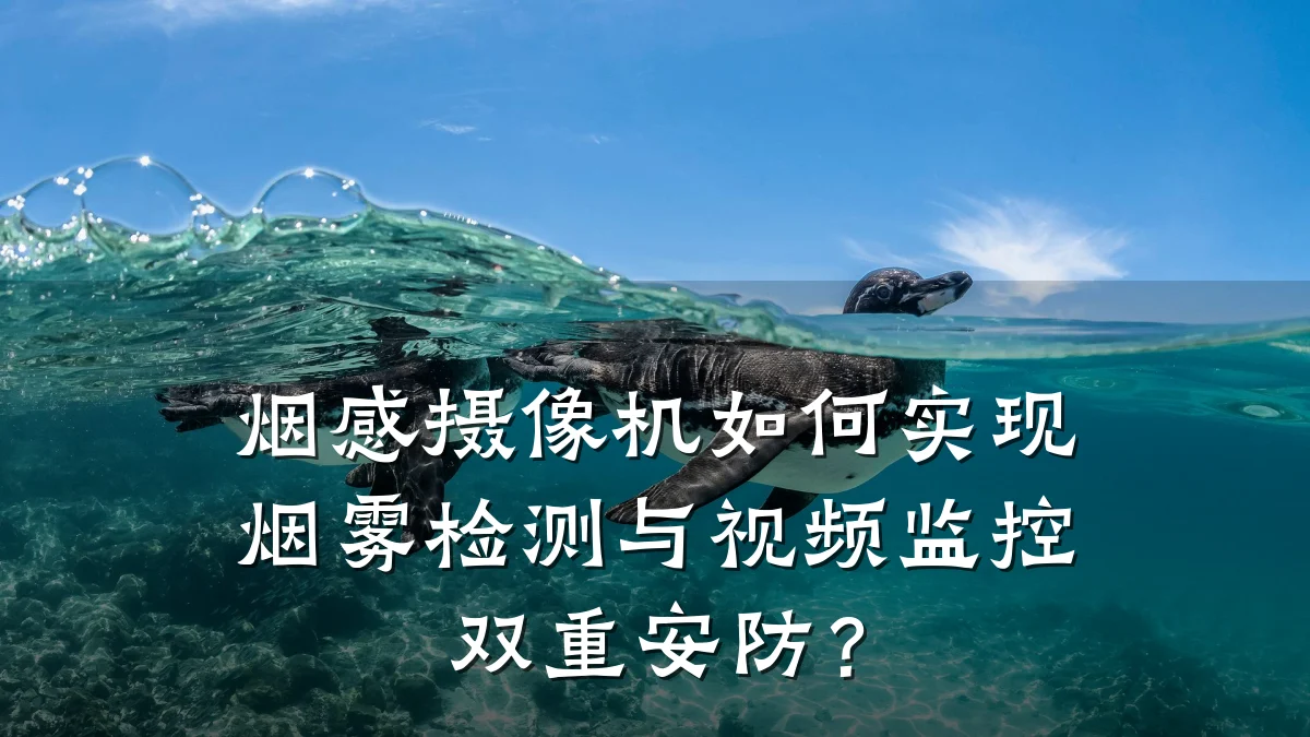 烟感摄像机如何实现烟雾检测与视频监控双重安防?