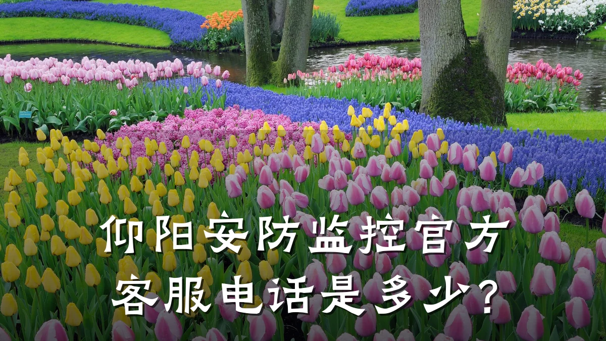 仰阳安防监控官方客服电话是多少?