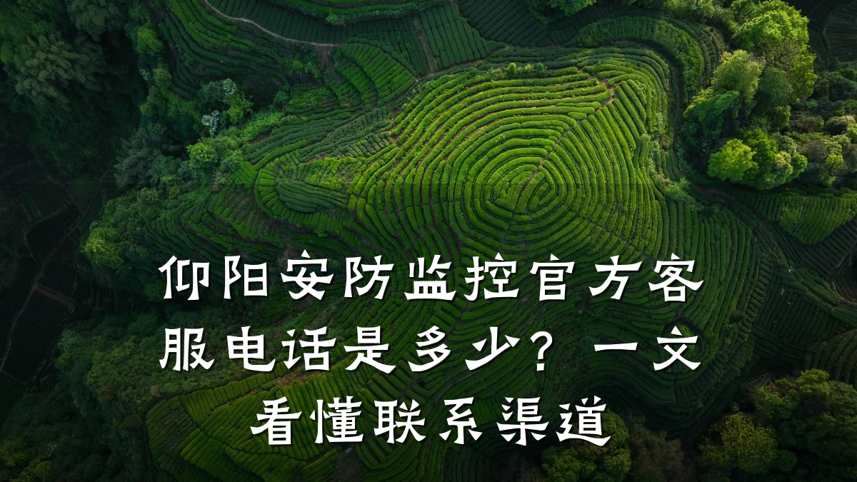 仰阳安防监控官方客服电话是多少?一文看懂联系渠道