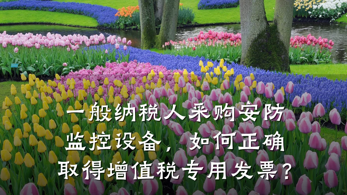 一般纳税人采购安防监控设备，如何正确取得增值税专用发票？