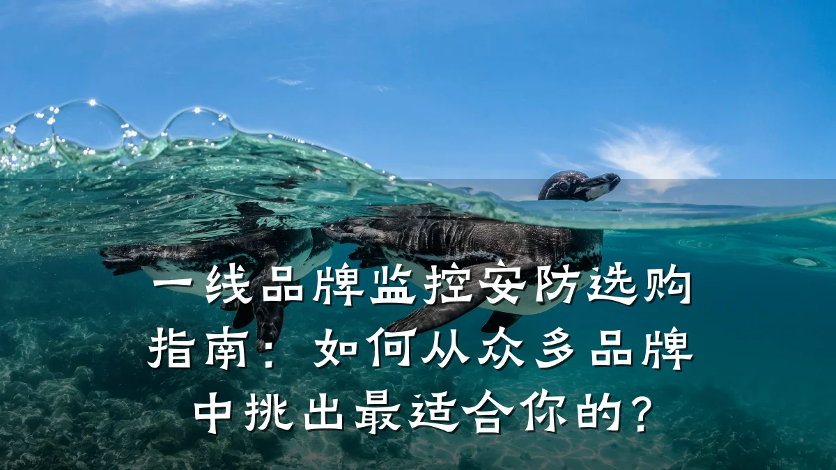 一线品牌监控安防选购指南：如何从众多品牌中挑出最适合你的？