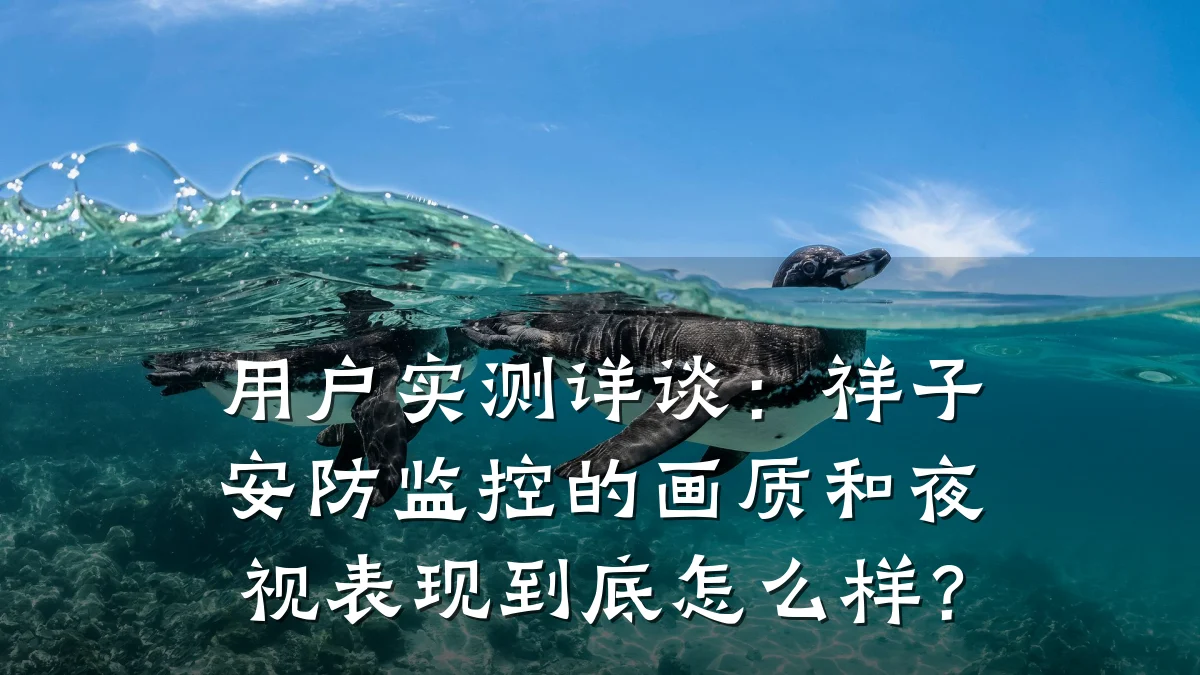 用户实测详谈:祥子安防监控的画质和夜视表现到底怎么样?