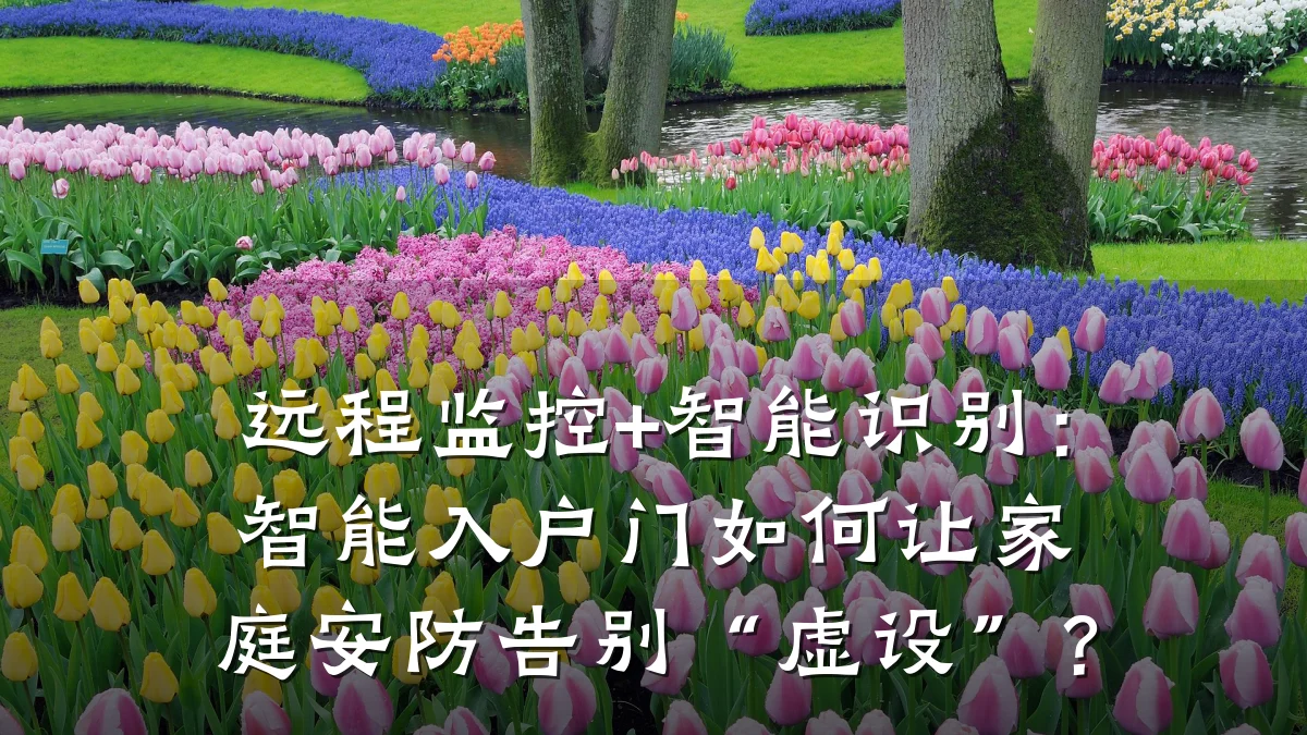 远程监控+智能识别:智能入户门如何让家庭安防告别“虚设”?