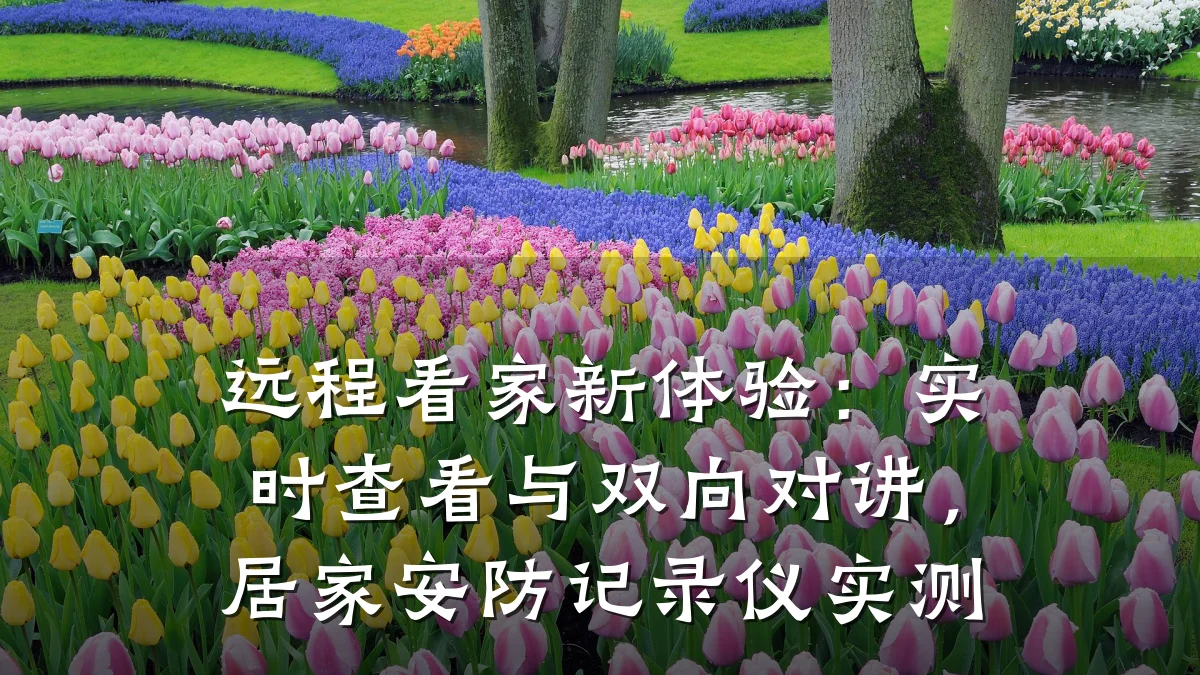 远程看家新体验:实时查看与双向对讲,居家安防记录仪实测