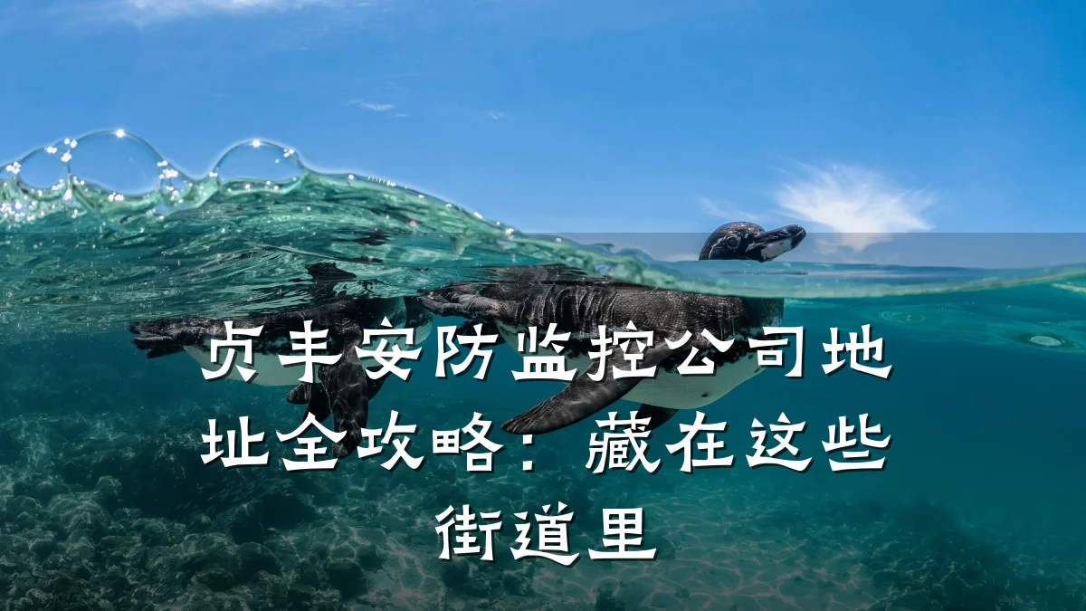 贞丰安防监控公司地址全攻略:藏在这些街道里