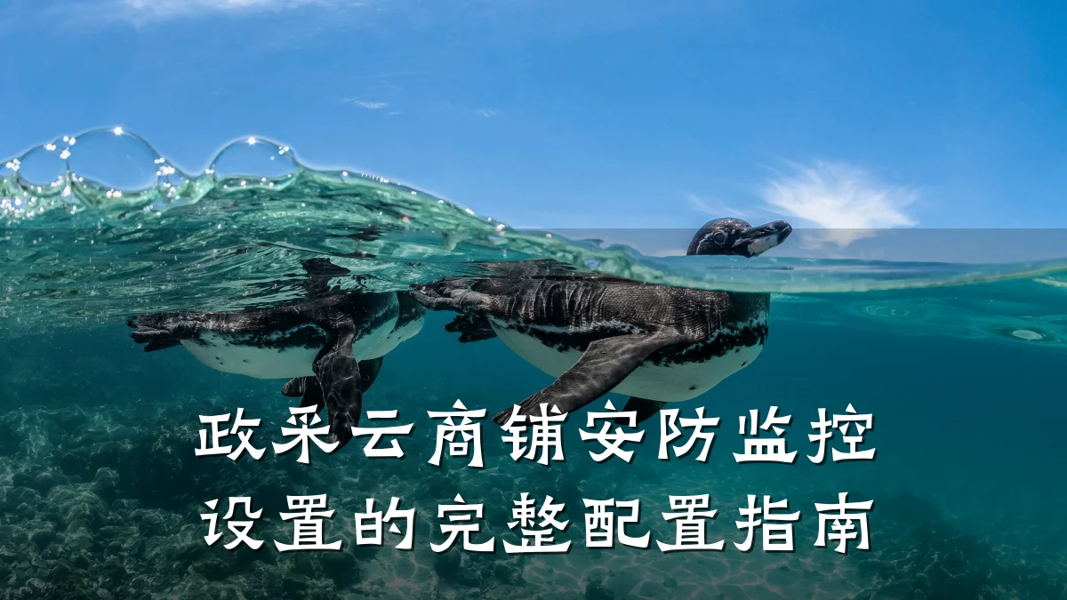 政采云商铺安防监控设置的完整配置指南