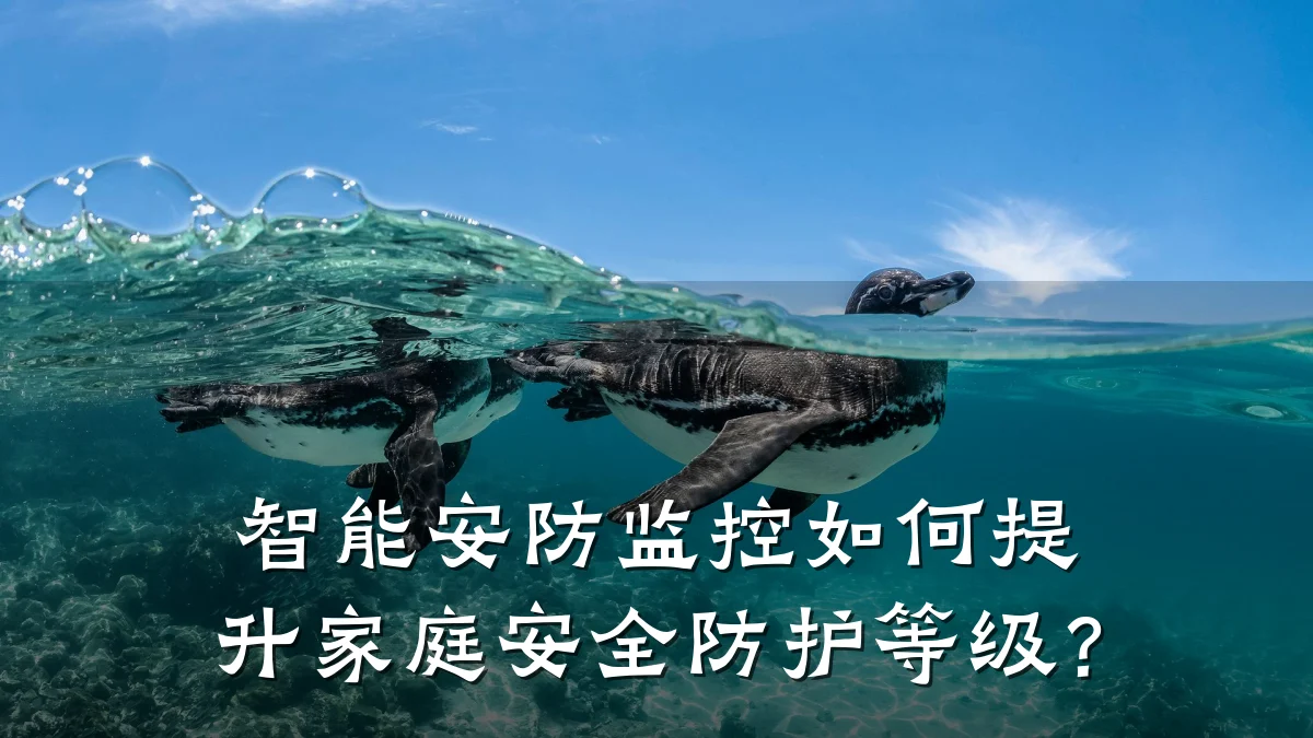 智能安防监控如何提升家庭安全防护等级?