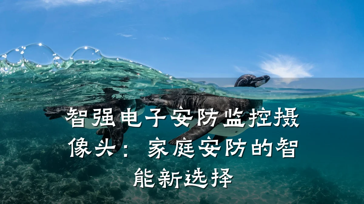 智强电子安防监控摄像头:家庭安防的智能新选择