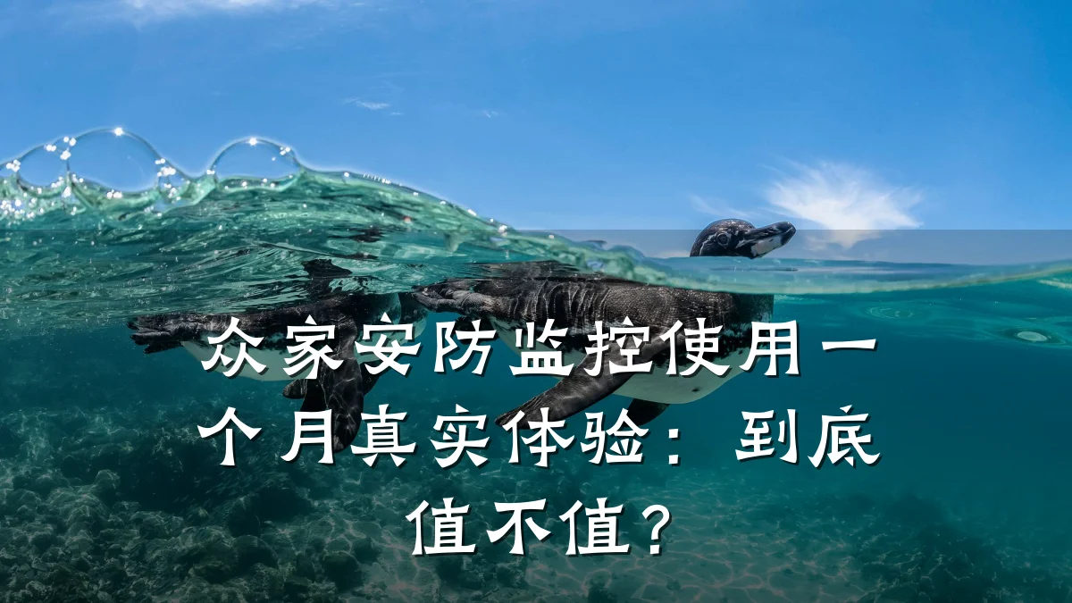众家安防监控使用一个月真实体验:到底值不值?