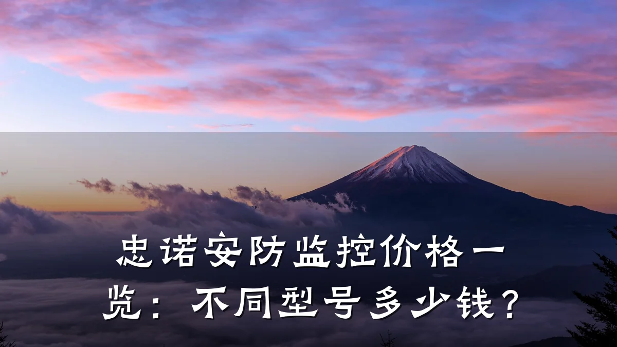 忠诺安防监控价格一览:不同型号多少钱?