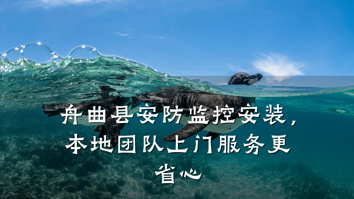 舟曲县安防监控安装,本地团队上门服务更省心