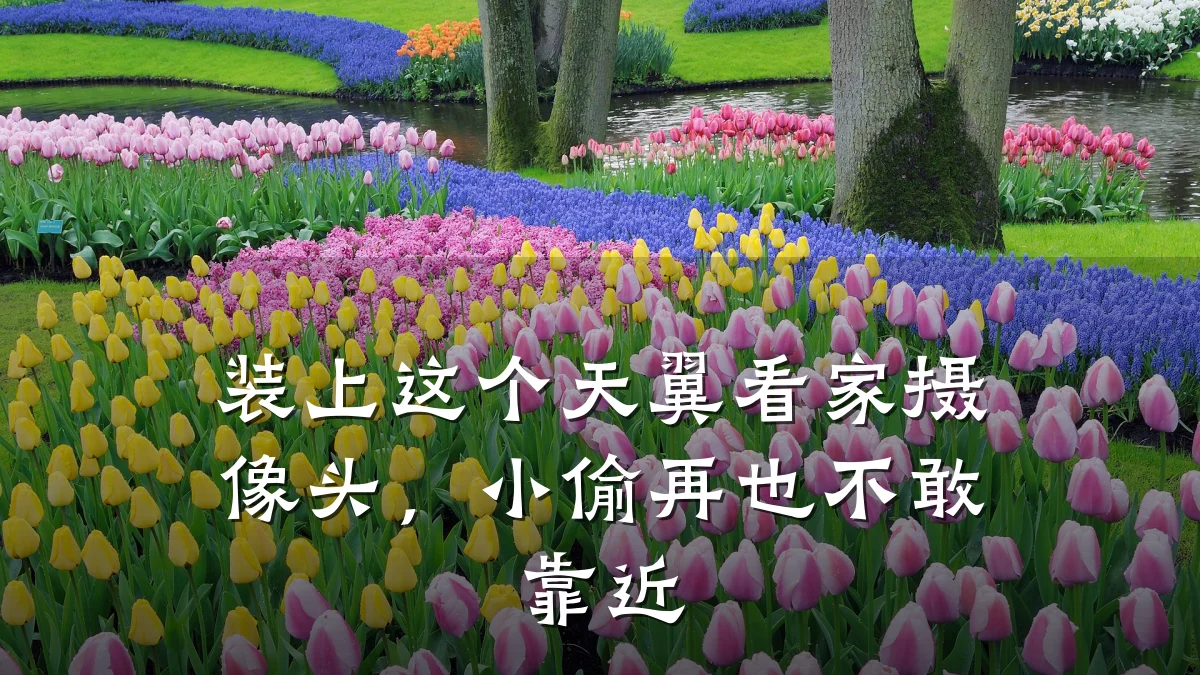 装上这个天翼看家摄像头,小偷再也不敢靠近