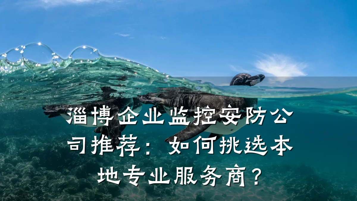 淄博企业监控安防公司推荐:如何挑选本地专业服务商?