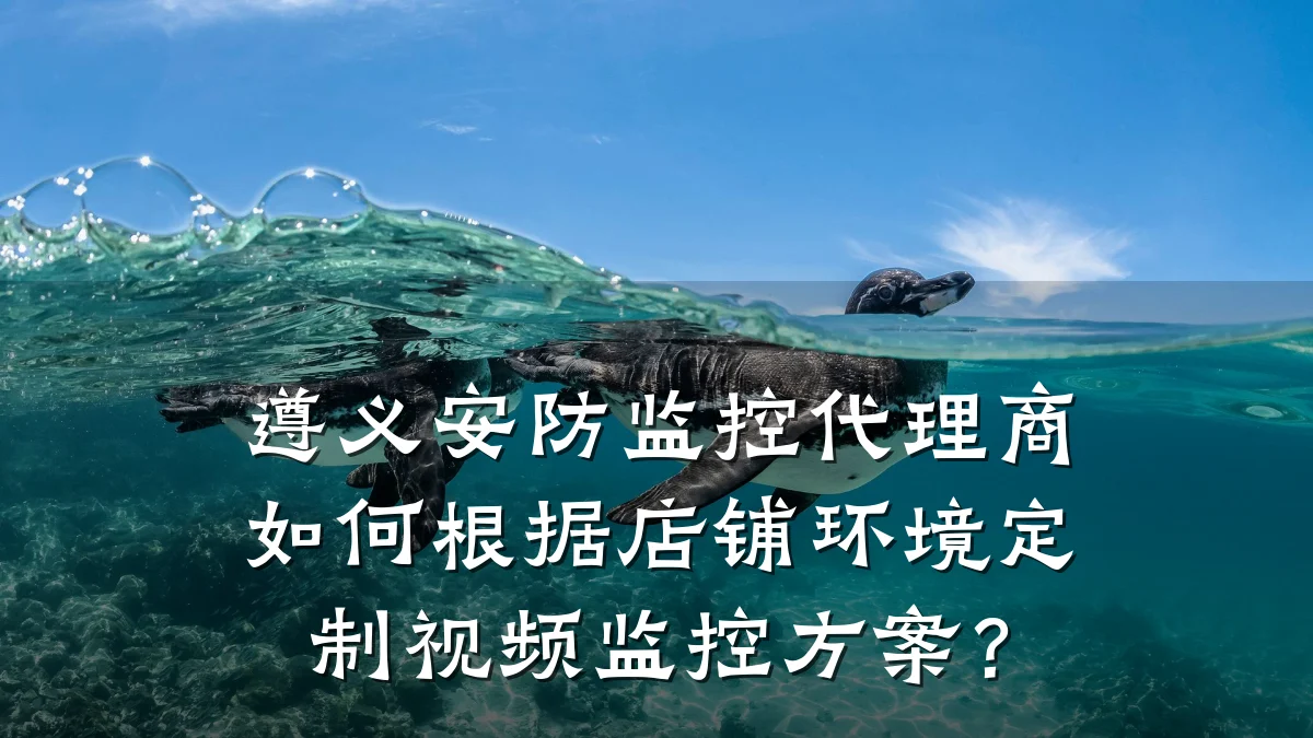 遵义安防监控代理商如何根据店铺环境定制视频监控方案?