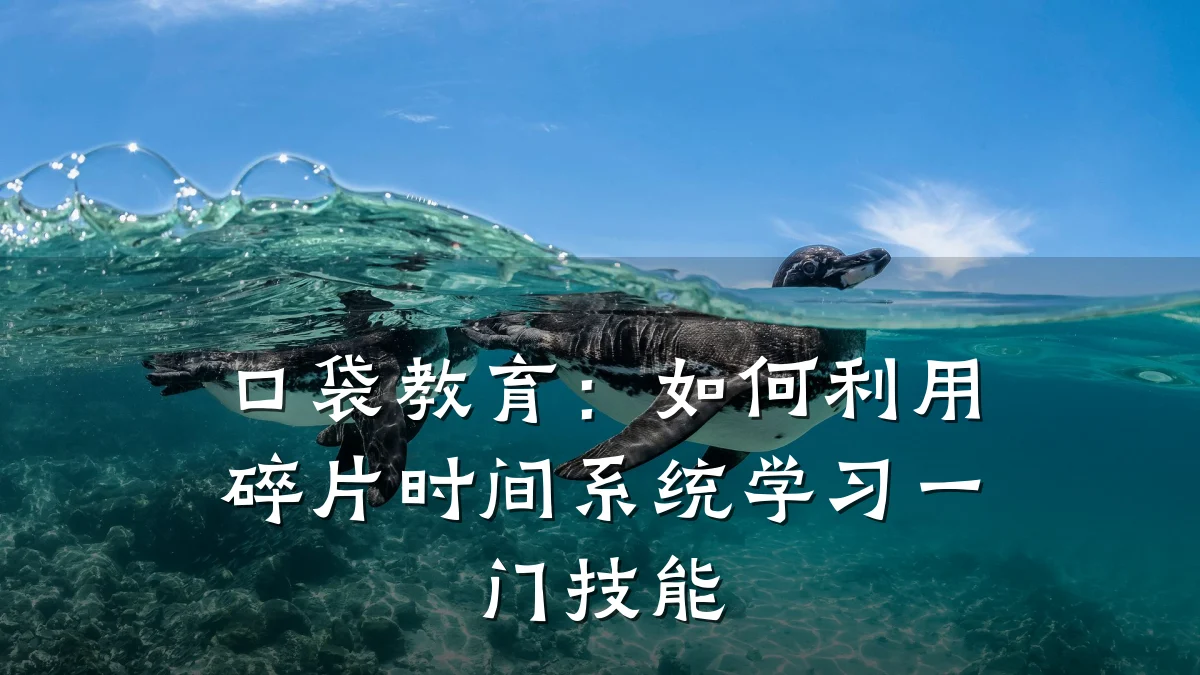 口袋教育：如何利用碎片时间系统学习一门技能