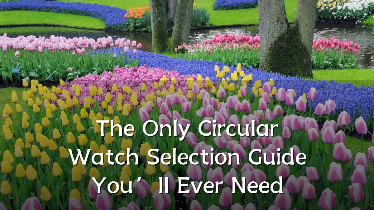 The Only Circular Watch Selection Guide You’ll Ever Need