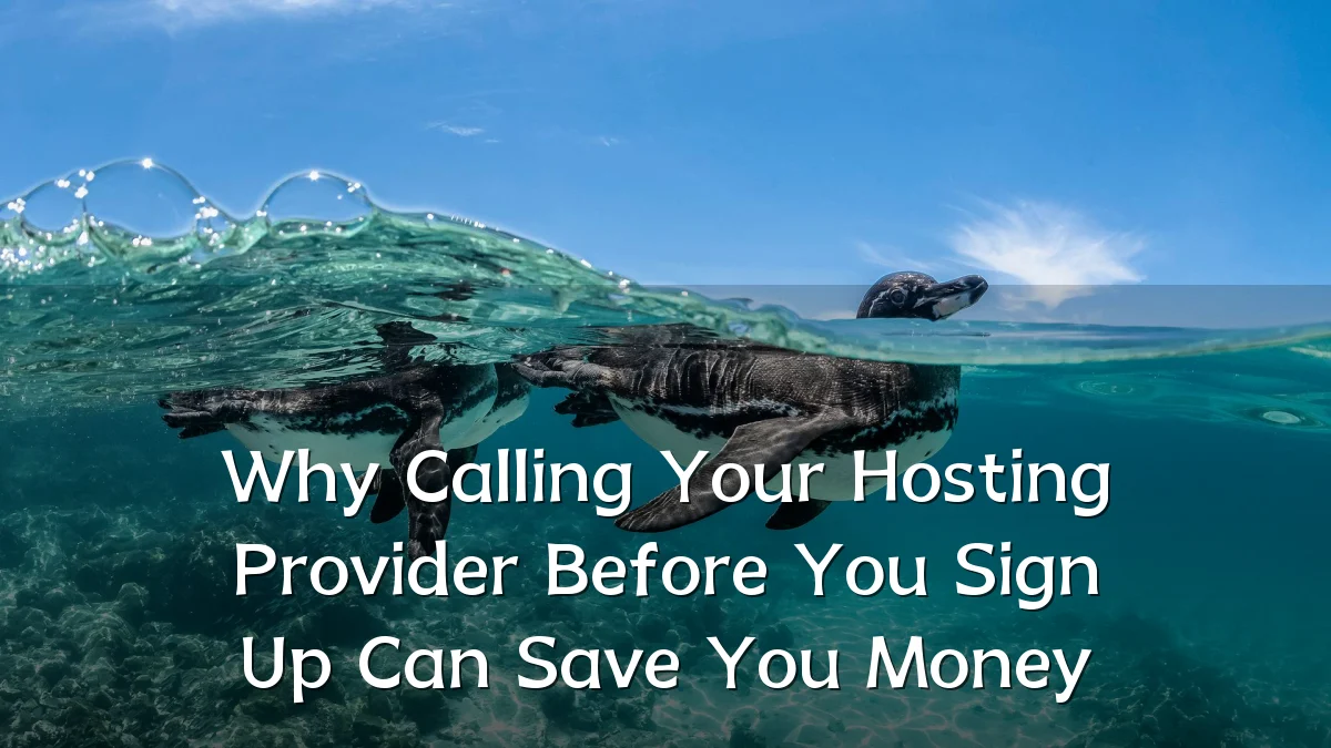 Why Calling Your Hosting Provider Before You Sign Up Can Save You Money